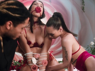 VIXENPLUS Gorgeous BFF s share Stiff Cock