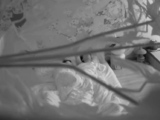 Amateur Hidden Cam